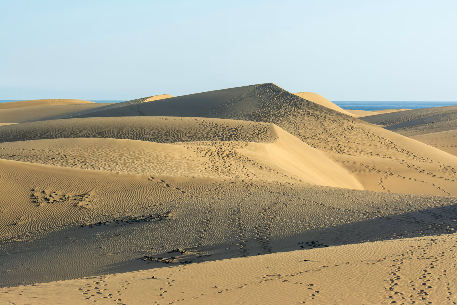 Las dunas de Cabopino