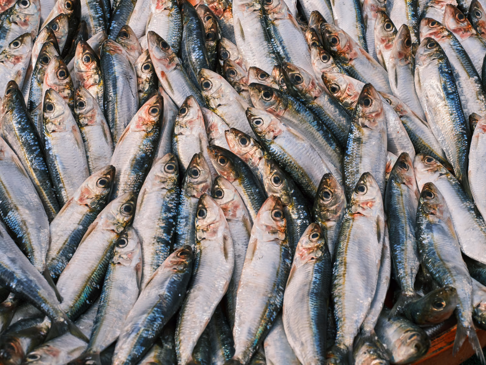 Chiringuitos de La Cala